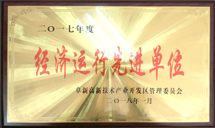 CQ9传奇电子股份荣获“2017年度经济运行先进单位”称号