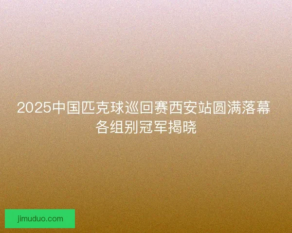 2025中国匹克球巡回赛西安站圆满落幕 各组别冠军揭晓
